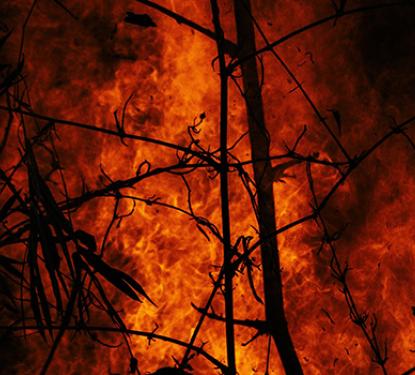 Providing Hope and Healing to Disaster Survivors in the United States